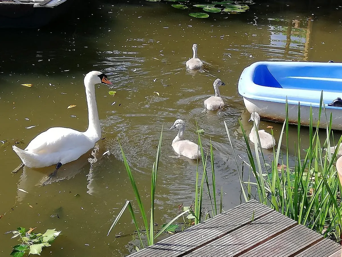 Canal Garden Apartment Staywell Amsterdam 0*,  Nizozemsko