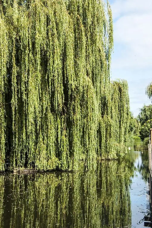 Canal Garden Apartment Staywell Amsterdam